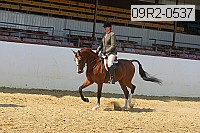 09r2-0537 proof