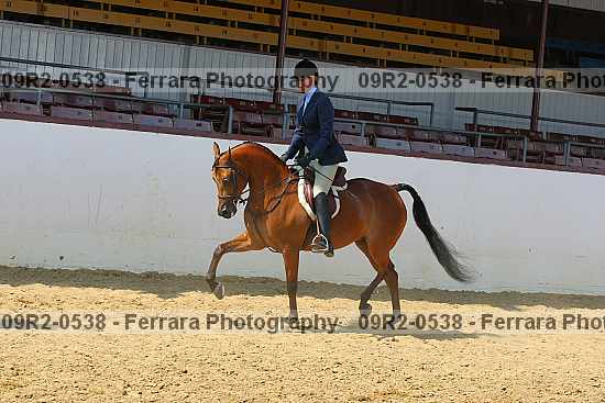 Proof 09r2-0538