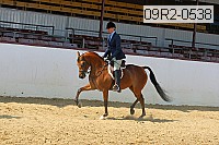 09r2-0538 proof