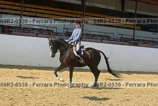 Proof 09r2-0539