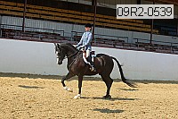 09r2-0539 proof
