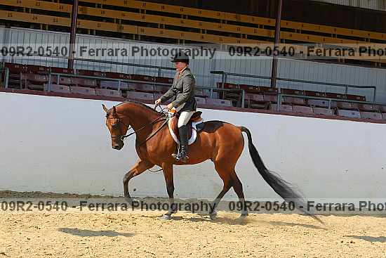 Proof 09r2-0540