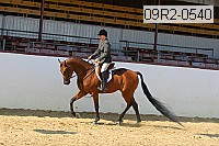 09r2-0540 proof