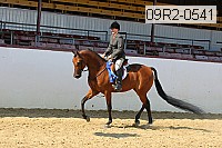 09r2-0541 proof