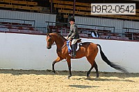 09r2-0542 proof