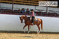 09r2-0546 proof