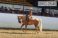 09r2-0548 proof
