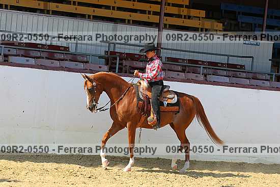 Proof 09r2-0550