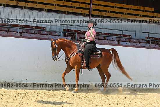 Proof 09r2-0554