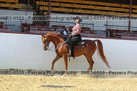 Proof 09r2-0555
