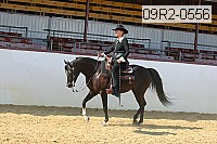 09r2-0556 proof