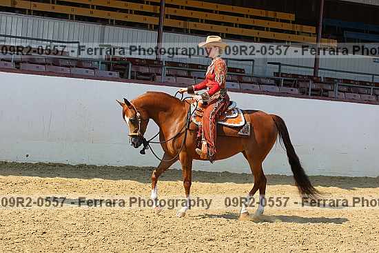 Proof 09r2-0557