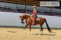 09r2-0557 proof