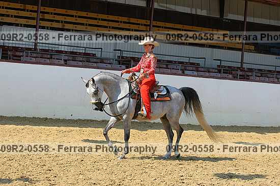Proof 09r2-0558