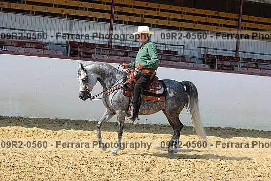Proof 09r2-0560