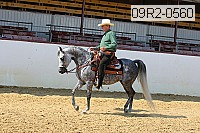 09r2-0560 proof
