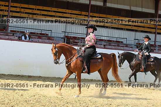 Proof 09r2-0561