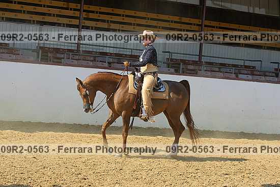 Proof 09r2-0563