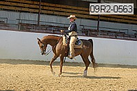 09r2-0563 proof
