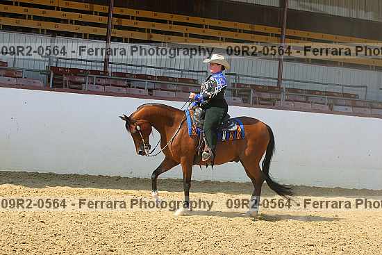 Proof 09r2-0564