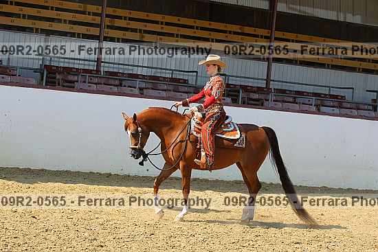 Proof 09r2-0565