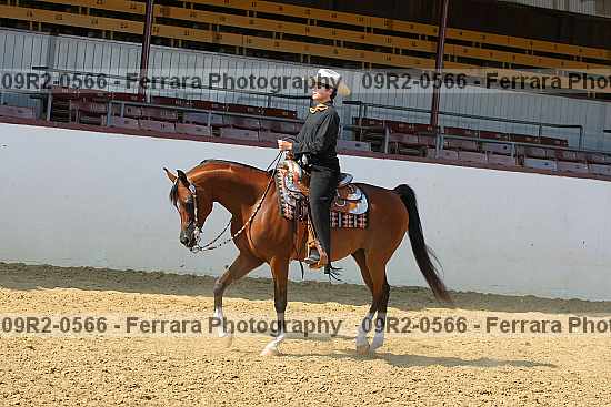 Proof 09r2-0566