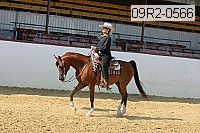 09r2-0566 proof