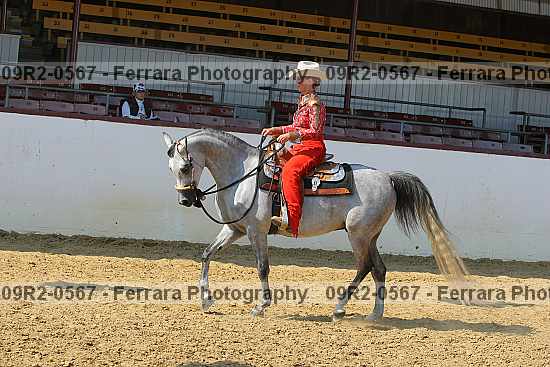 Proof 09r2-0567