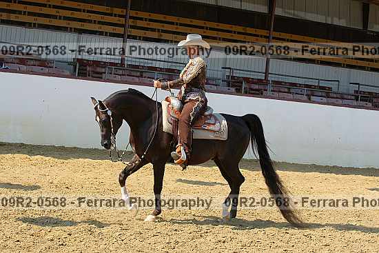 Proof 09r2-0568