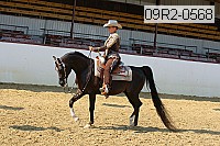 09r2-0568 proof