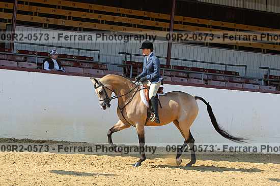 Proof 09r2-0573