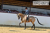 09r2-0573 proof