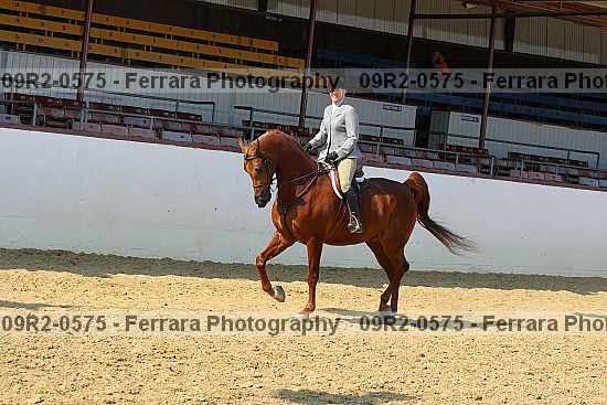 Proof 09r2-0575
