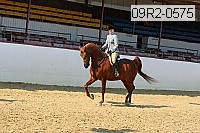 09r2-0575 proof