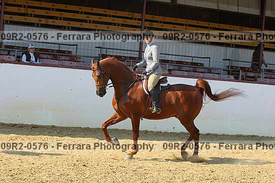 Proof 09r2-0576