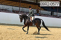 09r2-0577 proof