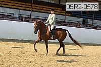 09r2-0578 proof
