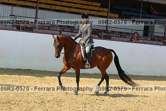 Proof 09r2-0579