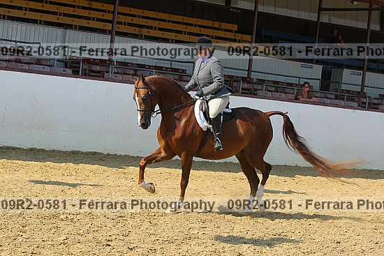 Proof 09r2-0581