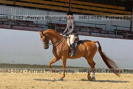 Proof 09r2-0582