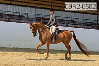 09r2-0582 proof