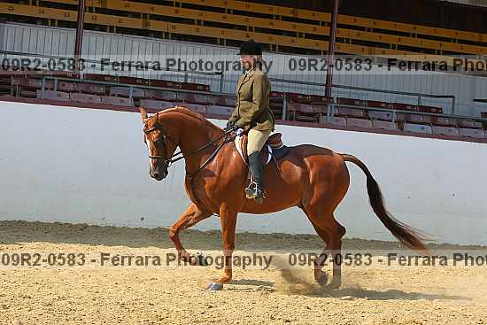 Proof 09r2-0583