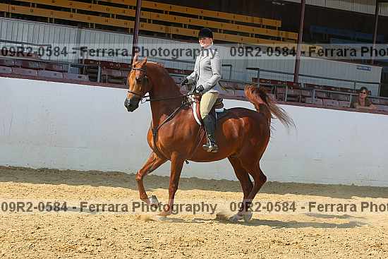 Proof 09r2-0584