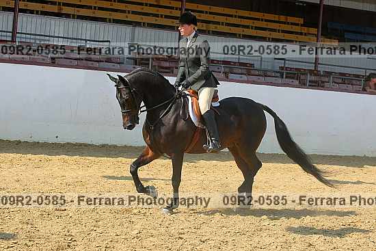 Proof 09r2-0585