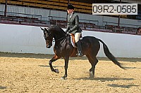 09r2-0585 proof