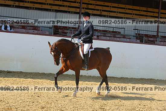 Proof 09r2-0586