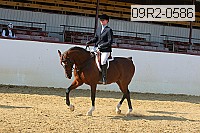 09r2-0586 proof