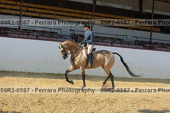 Proof 09r2-0587