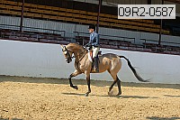 09r2-0587 proof
