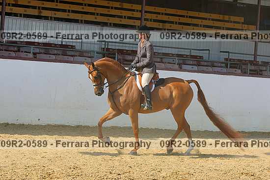 Proof 09r2-0589